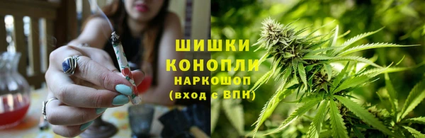 apvp Аркадак