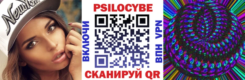 Галлюциногенные грибы Psilocybe  продажа наркотиков  Спас-Клепики 