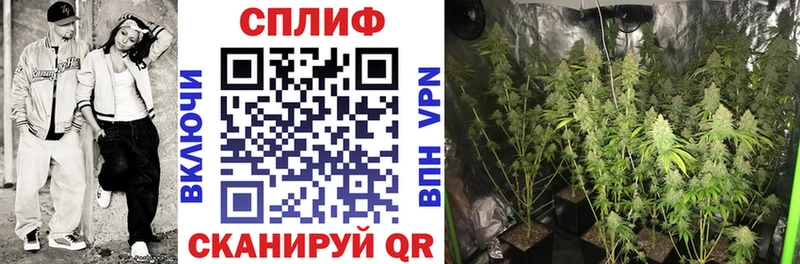мориарти Telegram  даркнет сайт  Спас-Клепики  Канабис ГИДРОПОН 
